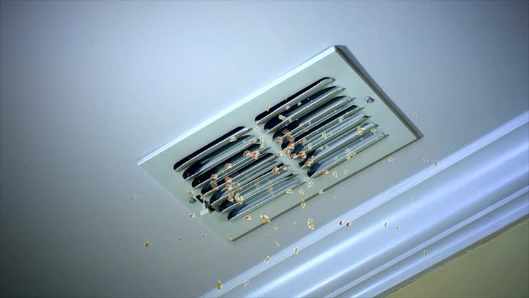 Best Local Air Duct Cleaning Services  in Harbison Nyon, CA